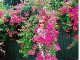 22 Anna Aniela Flak